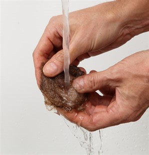 Tropica Filter cleansing