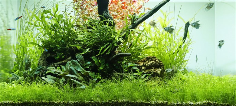 Getting Started Result